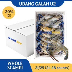 SCAMPI / FRESHWATER PRAWN U5