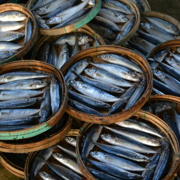 beth-macdonald-bnnkhLz_0QQ-unsplash